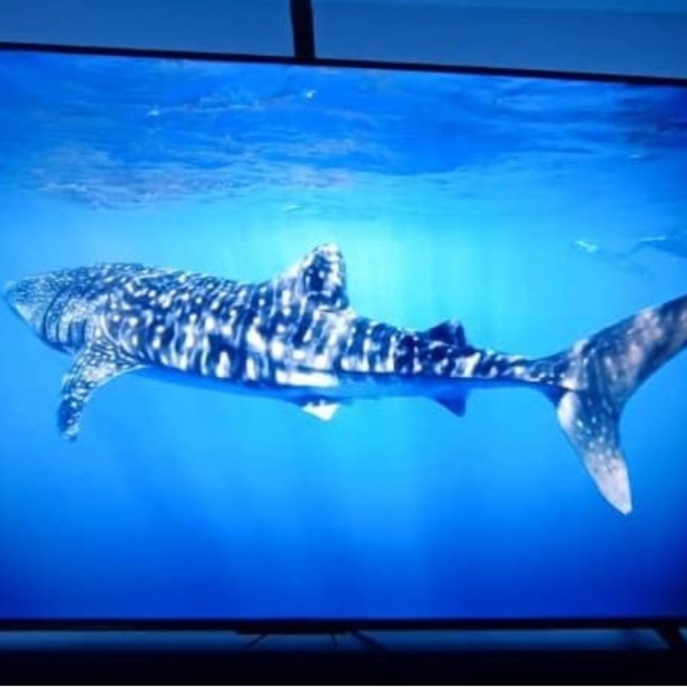 TV LED Backlight - Picture 4 of 4